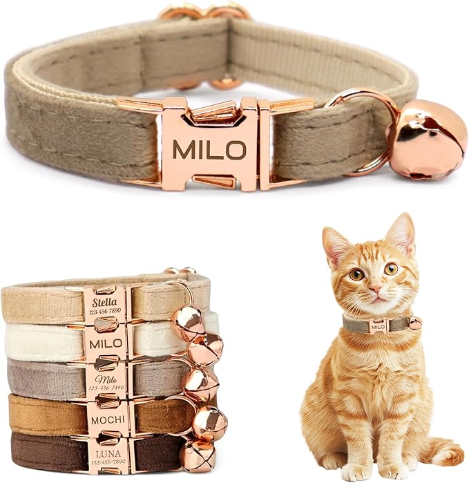 Personalized Non-Breakaway Cat Collar with Name, Luxury Soft Velvet Custom Engraved Name Collar with Bell for Kittens & Cats (Warm Gray, L (7.5-12.5 inches))