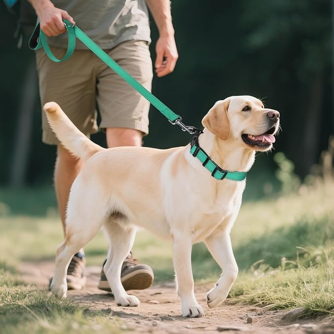 Joytale Reflective Dog Collar, Soft Neoprene Padded, Metal D-Ring, Nylon Pet Collar Adjustable for Large Dogs, Teal, L