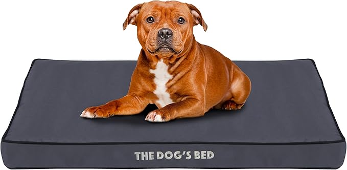 The Dog’s Bed Orthopedic Standard Foam Dog Bed Mattress, Oxford Fabric, Grey with Black Trim, Large