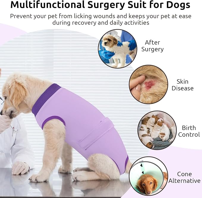 Queenmore Recovery Suit for Dogs After Surgery, XS Dog Onesie Surgery Recovery Suit, Professional Pet Recovery Shirt, Prevent Licking Dog Body Suits After Surgery,Purple,XS