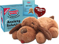 Snuggle Puppy Original Heartbeat Puppy Toy with Real-Feel Pulse & Heat Pack, Calming Sleep Aid for Puppy Anxiety, Crate Training, First Nights & New Puppy Transition - Biscuit