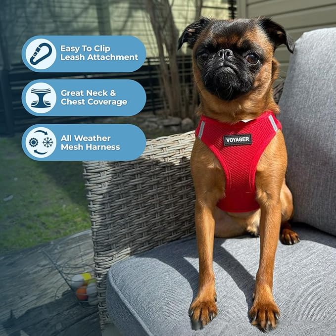 Best Pet Supplies Voyager Step-in Air All Weather Mesh Harness and Reflective Dog 5ft Leash Combo with Neoprene Handle, for Small, Medium and Large Breed Puppies - Set (Red), Small