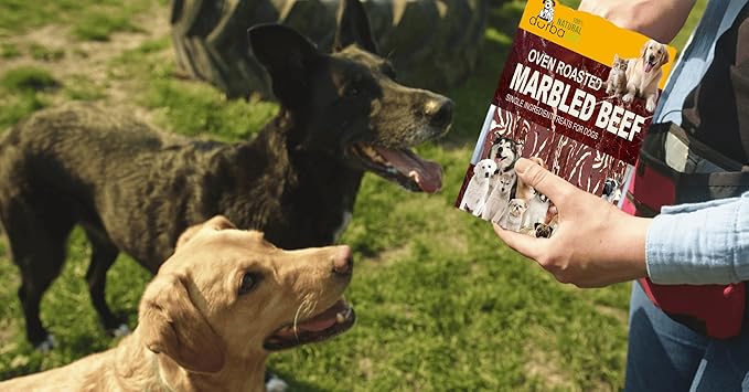 Oven Roasted Single Ingredient Treats for Dogs & Cats | Easy Chew (3.1 oz, Marbled Beef Strips)