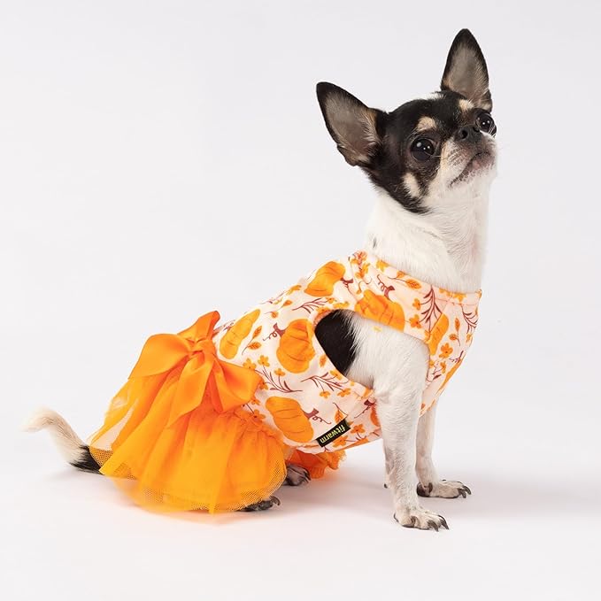 Fitwarm Pumpkin Flower Dog Dress, Thanksgiving Outfit for Small Dogs Girl, Fall Pet Outfit, Beige, Orange, Large