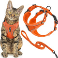 Voyager Escape-Proof Step-in Lock Cat Harness & 5ft Neoprene-Handle Leash Set All-Weather Mesh with Reflective Stitching for Small to Large Cats by Best Pet Supplies, Orange (327), M
