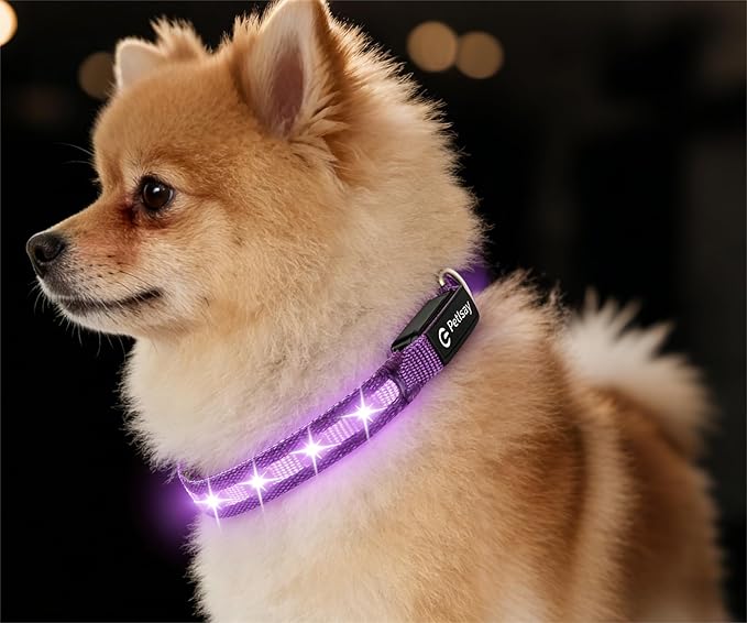 LED Dog Collar for XSmall Dogs & Toy Breeds – USB-C Rechargeable Light Up Dog Collar, Fully Waterproof Adjustable Glow Collar for Night Walking & Safety(Purple,XS)