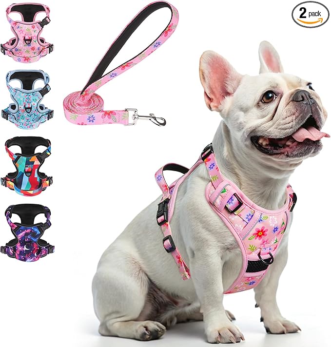 BEAUTYZOO No Pull Dog Harness and Leash Set with 2 Metal Leash Clips - Overhead-Free 3 Snap Buckles Design, Adjustable No-Choke Soft Padded Reflective Oxford Pet Vest for Small Medium Large Dogs, Pink