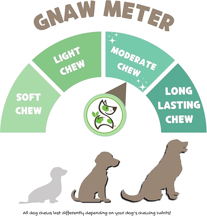 Nature Gnaws USA Beef Tendons for Dogs 1 Pound (8oz X2) - Mixed Thickness - Long Lasting for Aggressive Chewers - Premium Natural Beef Dog Chew Treats - Rawhide Free (Pack of 2)