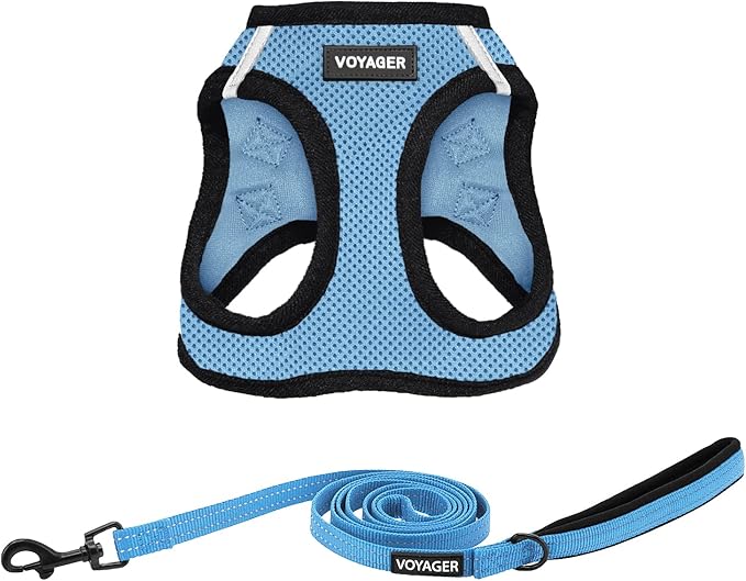Voyager Step-in Air All Weather Mesh Harness and Reflective Dog 5 ft Leash Combo with Neoprene Handle, for Small, Medium and Large Breed Puppies by Best Pet Supplies - Blue, Small