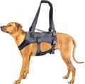Doggie Stylz Dog Lift Harness for Large Dogs Full Body Support Sling Dog Carrier has Adjustable Handles Recovery Vest for Senior Dogs, Arthritis Joint Injuries, Mobility Aid Back Leg Support (XL)