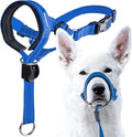 GoodBoy Dog Head Halter with Safety Strap - Stops Heavy Pulling On The Leash - Padded Headcollar for Small Medium and Large Dog Sizes - Head Collar Training Guide Included (Size 4, Blue Nylon)