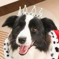 Lovelyshop Pet Series Silver Plated Royal Rhinestone Pearl Full Round Dog/Cat Crown for Rolyal Family Costume Hair Accessories-Large Size