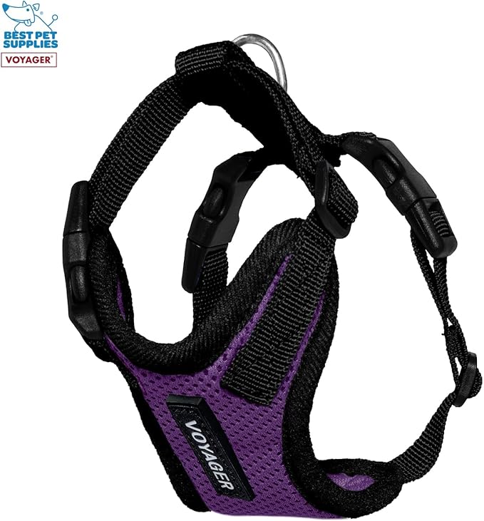 Best Pet Supplies Voyager Step-in Lock Pet Harness w Reflective Pet Leash Combo Set with Neoprene Handle 5ft - Supports Small, Medium and Large Breed Puppies/Cats - Purple/Black Trim, XXS