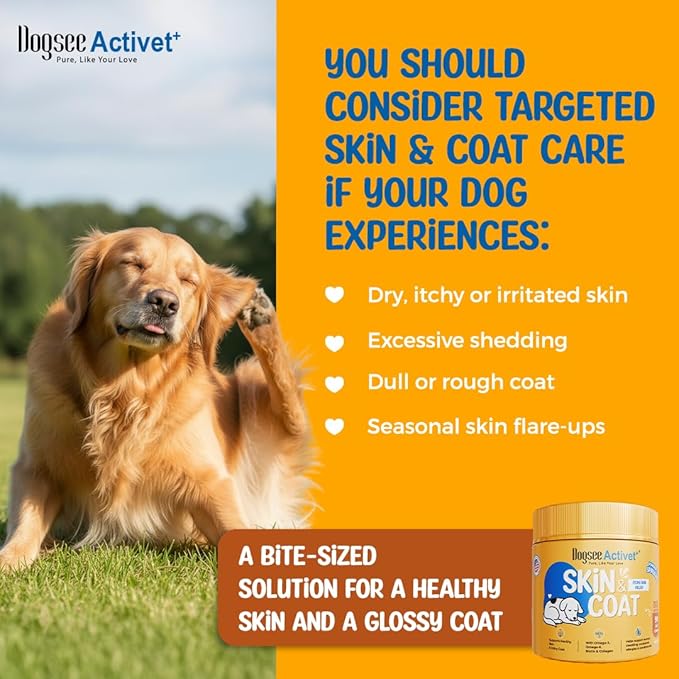 Dogsee Activet+ Dog Skin Coat Supplement Chews, with Omega 3, Omega 6, Biotin & Collagen, Itchy Skin & Shiny Coat Support, Chicken Flavor – 90 Chews