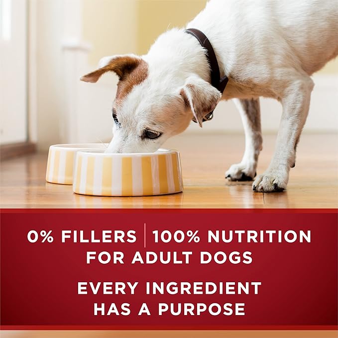 Purina ONE True Instinct Tender Cuts in Gravy With Real Turkey and Venison, and With Real Chicken and Duck High Protein Wet Dog Food Variety Pack - (Pack of 12) 13 oz. Cans