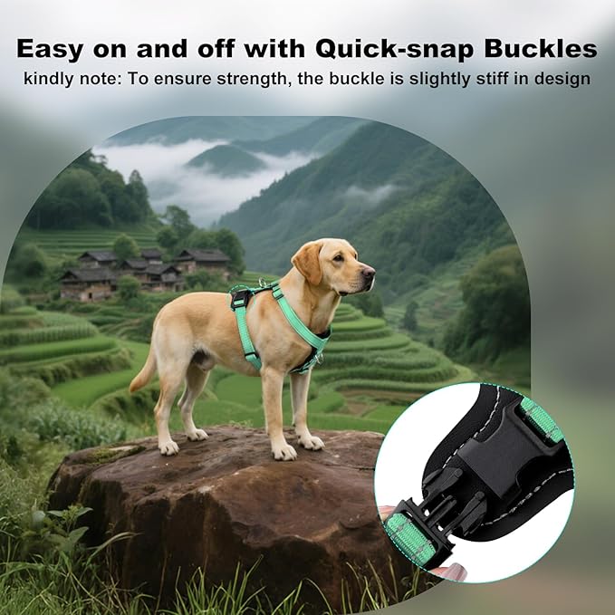 Plutus Pet Adjustable No Pull Dog Harness with Leather Accents, Heavy Duty Reflective Nylon Vest for Training, Hiking, Easy Walk Harness for Small, Medium, Large Dogs (Teal, S)