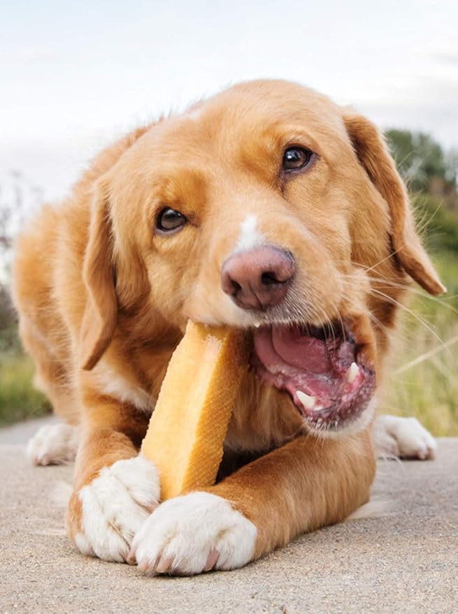 peaksNpaws Yak Cheese Himalayan Dog Chews, High Protein, Natural Dog Treats Large Breed, Lactose Free Chew Sticks for Aggressive Chewers, Long Lasting Pet Treat for Dogs Under 55 lbs, 3 Large Chews