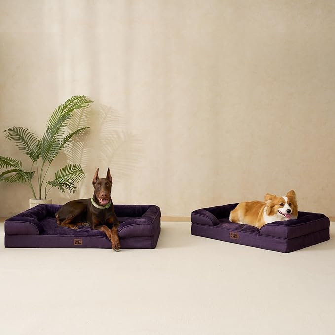 EHEYCIGA Orthopedic Dog Bed for Medium Dogs, Waterproof Memory Foam Medium Dog Beds with Sides, Non-Slip Bottom and Egg-Crate Foam Pet Couch Bed with Washable Removable Cover, Purple