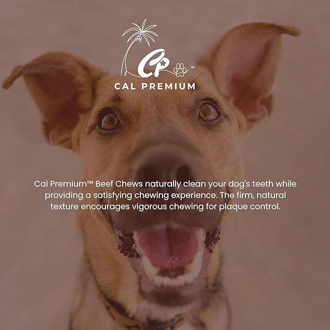 Natural Beef Backstrap Chews for Dogs, 9-11 inch, 100% USA Sourced & Made, Single Ingredient, High Protein, Healthy Long Lasting Chews - 7 oz.