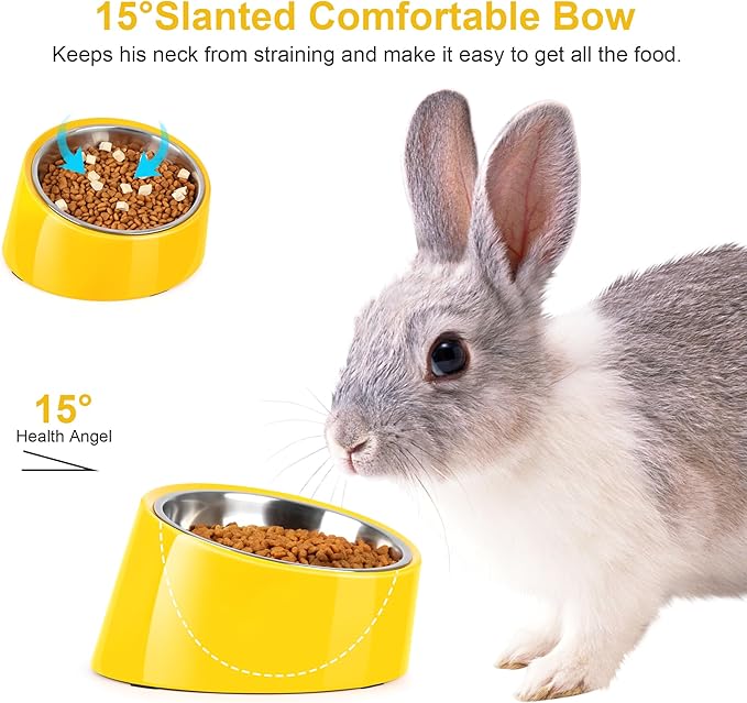 Tilted Dog Bowl Non-Slip & Non-Spill Pet Feeder with Elevated Detachable Melamine Stand, Easy to Get Food Dog Dish, S/100ml Yellow