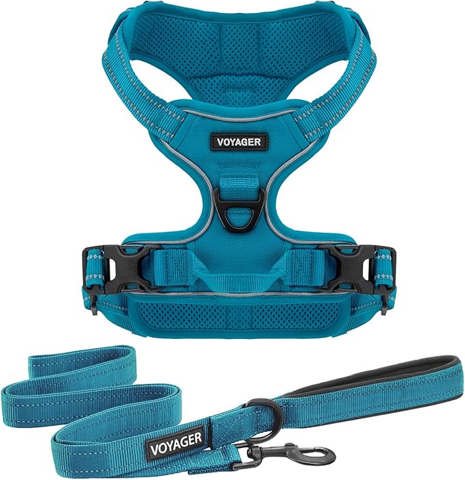 Voyager Dog Harness Dual Leash Attachment No-Pull Control Adjustable Soft but Strong Pet Harness for Medium and Large Dogs with 3M Reflective Technology, Leash Set Turquoise Nylon, XS (Chest: 13-16")