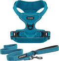 Voyager Dog Harness Dual Leash Attachment No-Pull Control Adjustable Soft but Strong Pet Harness for Medium and Large Dogs with 3M Reflective Technology, Leash Set Turquoise Nylon, XS (Chest: 13-16")