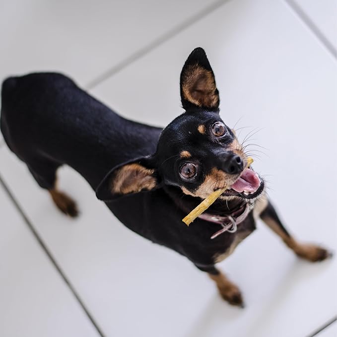Fieldcrest Farms Nothin' to Hide Twist Stix, Bacon Flavor, Easily Digestible, Supports Skin, Coat, Joints & Muscles, for Moderate Chewers Under 15lbs, 10 Pieces