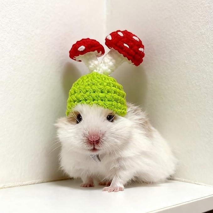 12 Pcs Hamster Hats Mini Party Hats for Small Animals, Cute Hand Knitted Tiny Hats for Snakes Lizards Bearded Dragon Guinea Pig Bunny Reptile Pets Clothes Holiday Party Costume Accessories(Fresh)