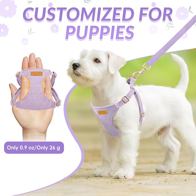 SlowTon Dog Harness Small Sized Dog - Soft XXS Dog Harness and Leash Set No Pull No Chock, Adjustable Lightweight Puppy Harness for XS Small Medium Dogs Cats (Solid Purple, XS)
