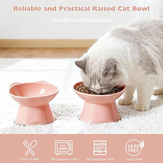 KSIA Klear Elevated Cat Bowls 2 Pack, Tilted Raised Cat Bowl for Food and Water, 4.72" Wide, Whisker Friendly Anti Vomit for Indoor Cats, Microwave and Dishwasher Safe, Pink