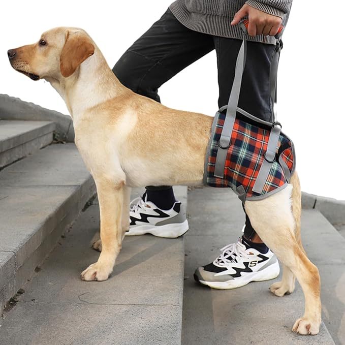 Dog Front/Hind Legs Lift Sling, Mobility Aid Assistance Hip/Joint Support Recovery for Senior Disabled Injured Dog Harness (red hindleg,Medium)