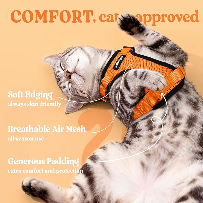 rabbitgoo Cat Harness and Leash for Walking, Escape Proof Soft Adjustable Vest Harnesses for Cats, Easy Control Breathable Reflective Strips Jacket, Orange, XXS