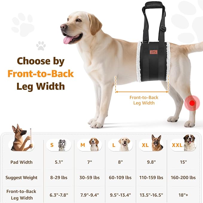 Adjustable Dog Lift Harness Dog Sling for Large Dogs Hind Leg Support Soft Lift Support for Weak Rear Legs, Helps Senior, Injured, Disabled, After ACL Surgery Dogs (Grey&Grey, Large)