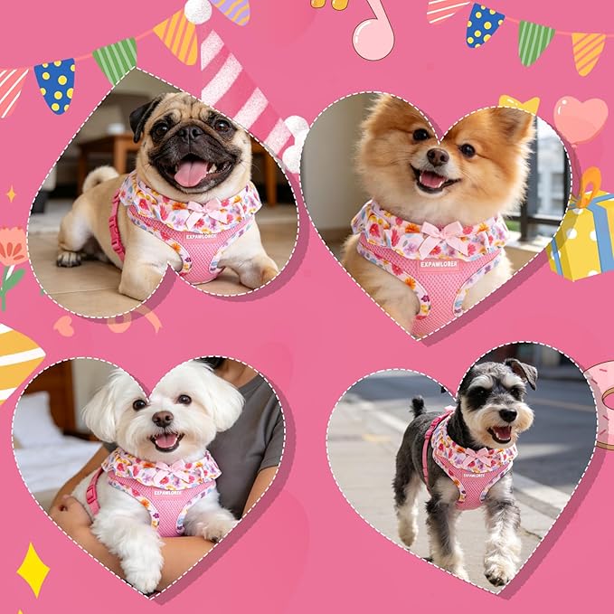 EXPAWLORER Cute Dog Harness Collar Leash Set - Pink Girl Dog Harness Checkered Step-in Design, Adjustable No-Choke Lightweight Mesh Vest for Cats Puppy Small Dogs, Flower M