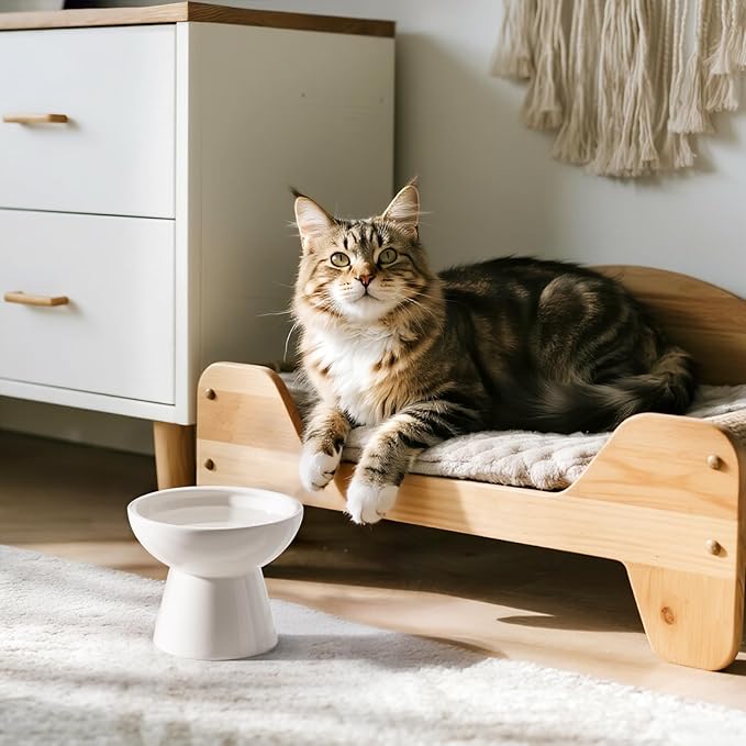 CEEFU Extra Wide Elevated Ceramic Cat Water Bowl - 6.2" Deeper Dish for Whisker Fatigue Relief, 5" Height for Easy Feeding, Lead & Cadmium Free, Durable Raised Cat Bowls, White