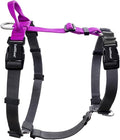 Non Restrictive No-Pull Dog Harness, Neck Buckle Desgin, Easy Walk Freedom Harness Keep Balance, Six Points Adjustment, for Medium Dog Chest(21-30 inches) Purple/Black