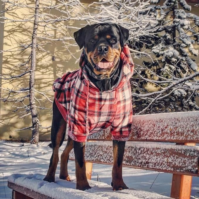 Spark Paws Dog Hoodie – Premium Dog Sweater for Small, Medium, and Large Dogs | Warm Outfits for French Bulldogs, Pitbull, Puppy, Winter Jacket Alternative - Red Plaid, L