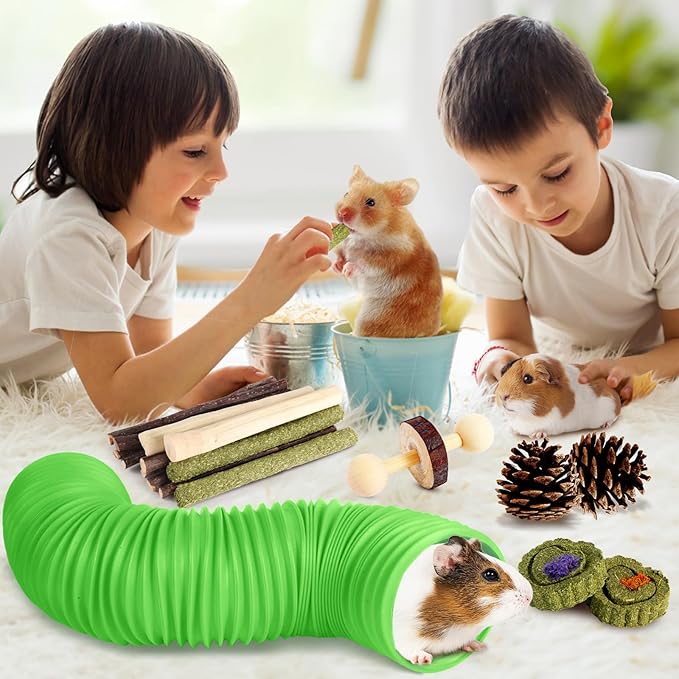 Kyouki Hamster Toys Guinea Pig Toys Set with Tunnel, Chewable Apple Wood & Natural Timothy Hay - Enrichment Chew Toys for Small Animals - 24+ Cage Accessories for Teeth Care & Boredom Relief (Green)