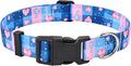 Floral Dog Collar, Adjustable Soft Nylon Pet Collar for Small Medium Large Dogs, Cute Flower Pattern Dog Collar for Girl Boy Dogs(Sweet Heart,M)