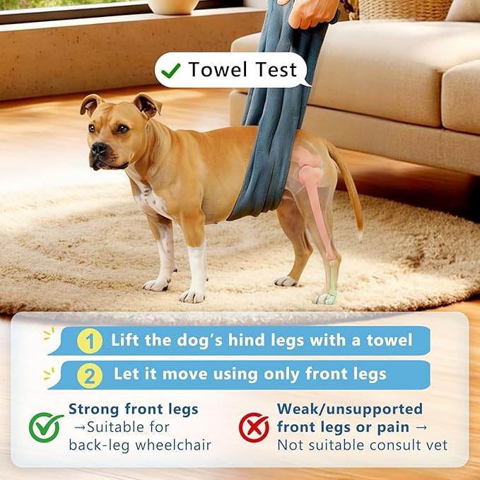 Dog Wheelchair for Back Legs, Adjustable Height/Length/Width, Sturdy Wheelchair with All-Terrain Shock-Absorbing Wheels, Mobility Support for Injured or Disabled Small & Medium Dogs & Cats