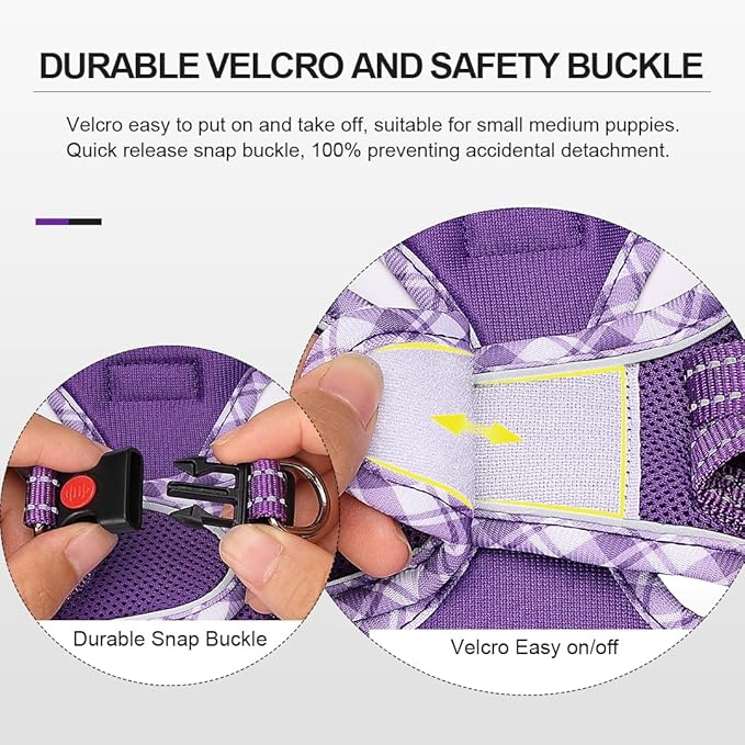 Mercano Soft Mesh Dog Harness and Leash Set, No-Chock Step-in Reflective Breathable Lightweight Easy Walk Vest Harnesses with Safety Buckle for Small Dogs, Cats (XXS, Purple)