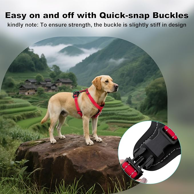 Plutus Pet Adjustable No Pull Dog Harness with Leather Accents, Heavy Duty Reflective Nylon Vest for Training, Hiking, Easy Walk Harness for Small, Medium, Large Dogs (Red, S)