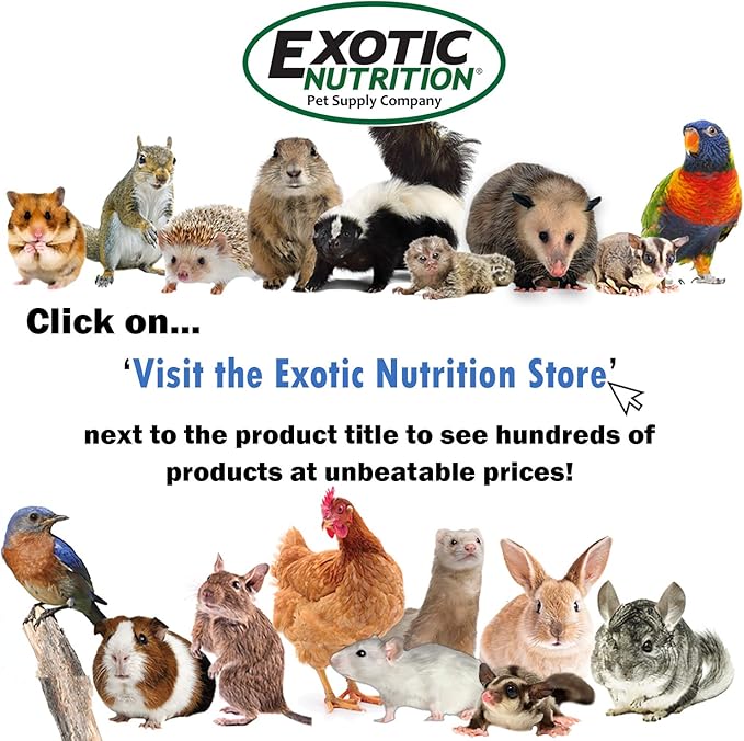 Exotic Nutrition Sandy Trimmer Strips (Large) (8 Strips) - Adhesive Nail Trimming Strips for Pet Exercise Wheels - Sugar Gliders, Prairie Dogs, Degus, Squirrels, Chinchillas