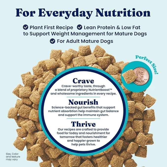 Solid Gold Dry Dog Food for Adult & Senior Dogs - Made with Oatmeal, Pearled Barley, and Fish Meal - Holistique Blendz Potato Free High Fiber Dog Food for Sensitive Stomach & Immune Support -24 LB