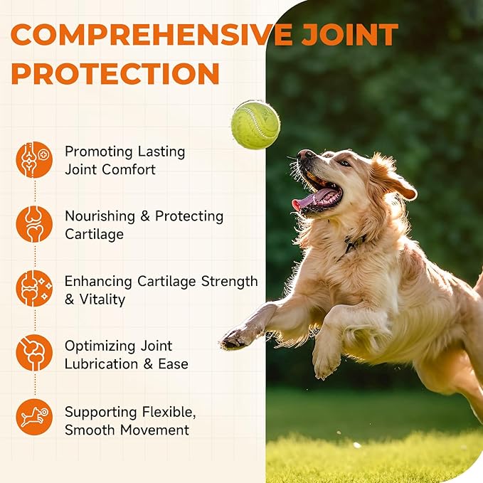 Dog Hip & Joint Supplement, 180 Chicken Chews - Glucosamine Chondroitin MSM Turmeric for Large Breed & Senior Dogs