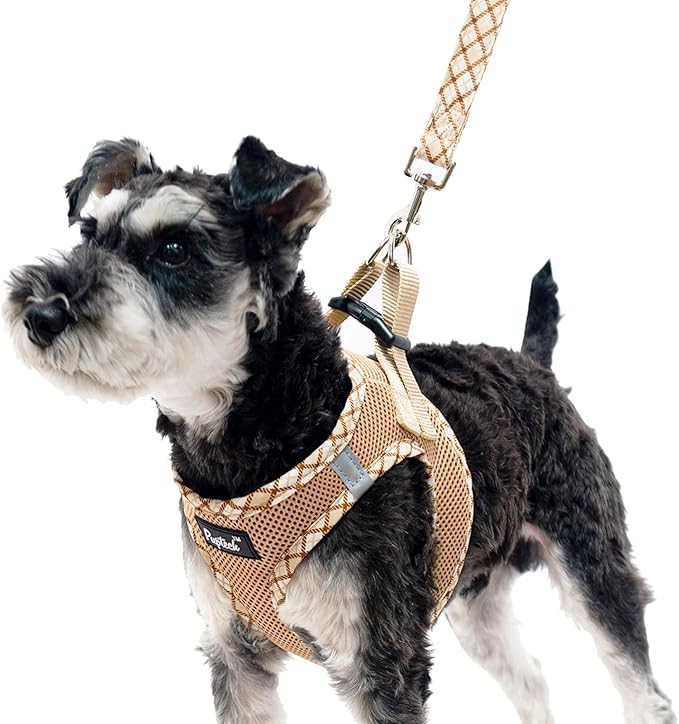 PUPTECK Dog Harness and Leash Set for Small Medium Dogs No Pull Step-in Soft Mesh Puppy Cat Vest Harnesses Reflective at Night, Beige M