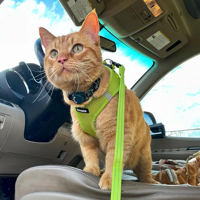 Best Pet Supplies Voyager Step-in Air Harness - All Weather Mesh, Reflective, No Pull Harness for Dogs, Cats - Secure with Hook & Loop Fastener, Buckle, Double D-Rings - Lime Green, S