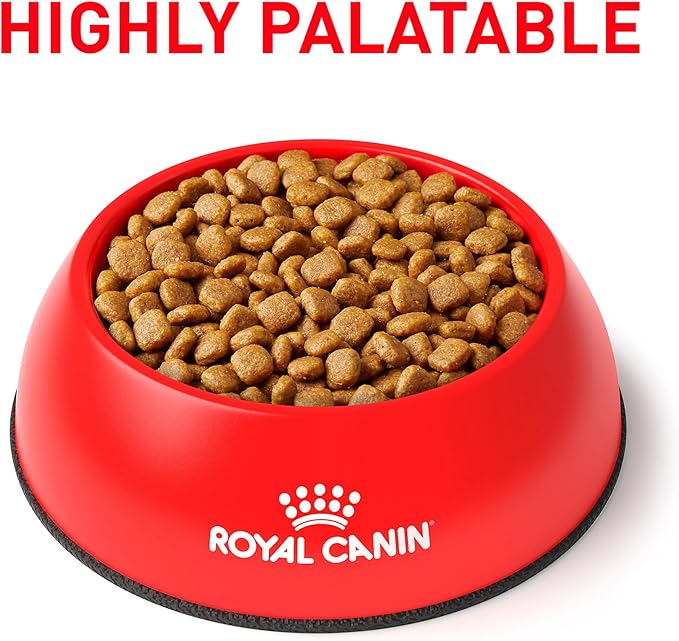 Royal Canin Veterinary Diet Canine Renal Support A Adult Dry Dog Food, 6 lb Bag