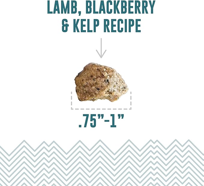 Icelandic+ Soft & Chewy Bites - Lamb, Berry & Kelp - 2.8oz Dog Treats, 70% Meat & Fruit, Air-Dried, Limited Ingredients, Pet Snack, Grain Free