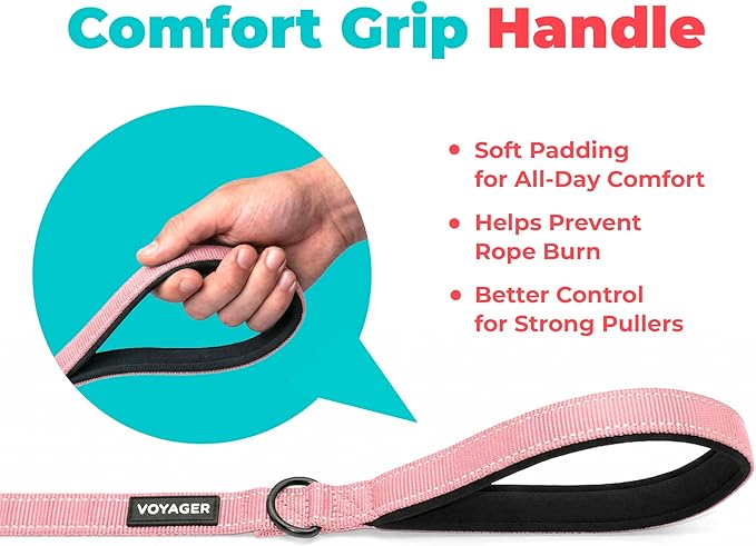 Best Pet Supplies Voyager Reflective Dog Leash or Collar with Neoprene Handle, for Small, Medium, and Large Breed Puppies, Cute and Heavy Duty for Walking, Running and Training - Pink (Leash), L